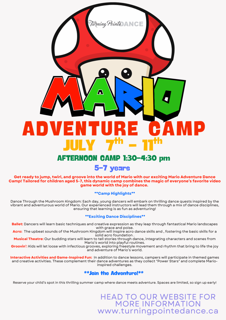 Mario Adventure Camp