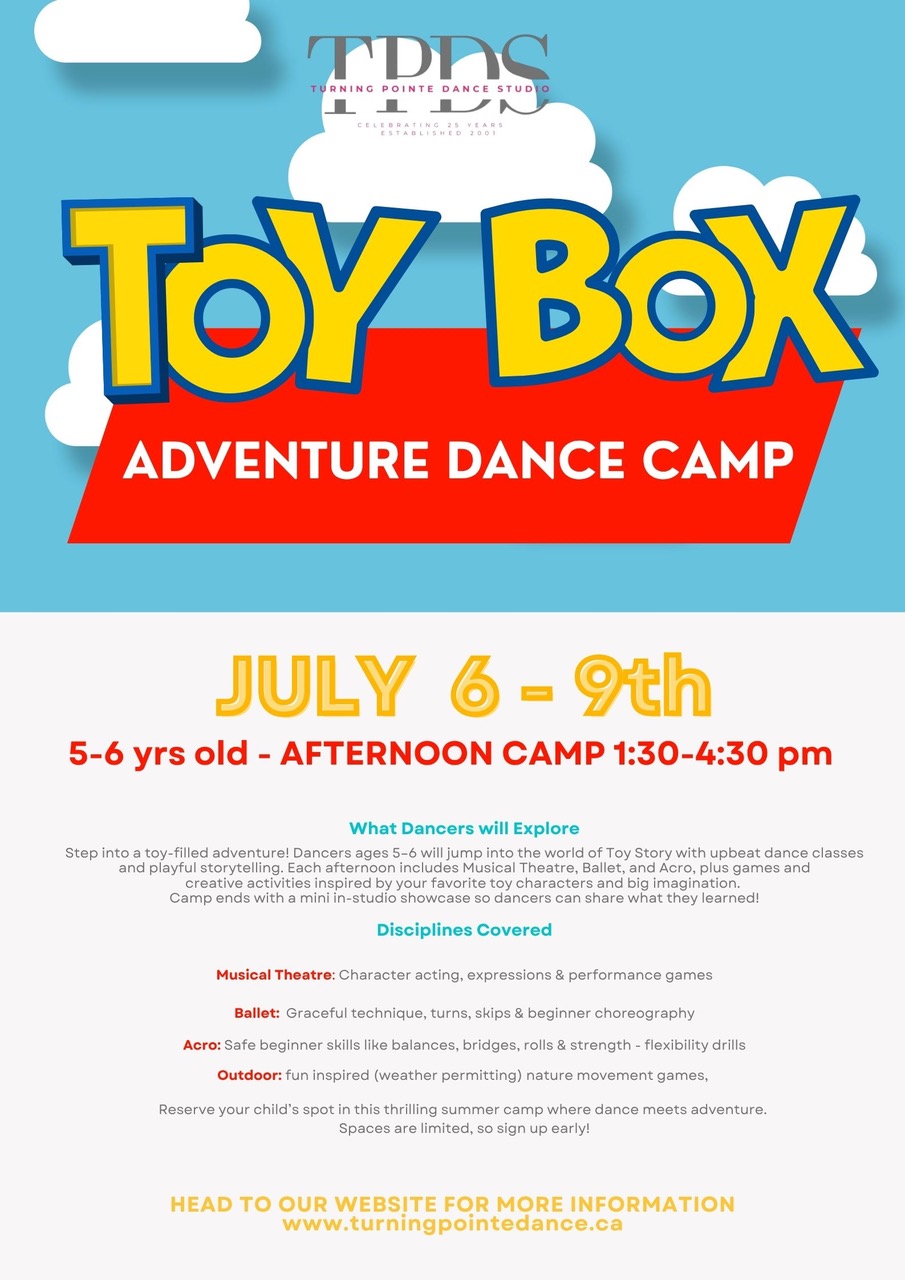 Toy Box Adventure Camp